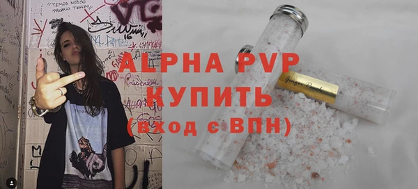 шишки Инта