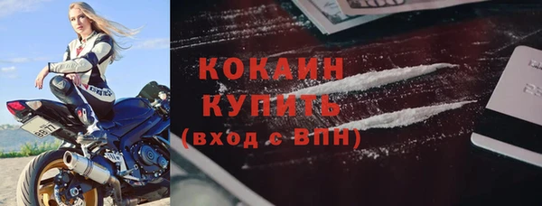 шишки Инта