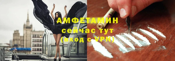 шишки Инта