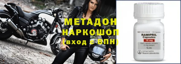 шишки Инта