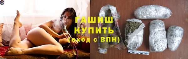 шишки Инта