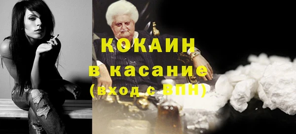 шишки Инта