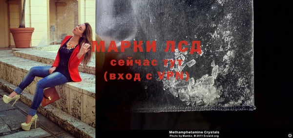 шишки Инта