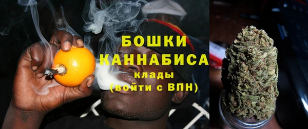 шишки Инта