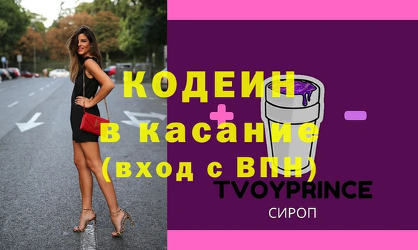 шишки Инта