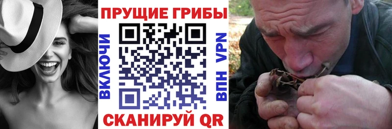 Псилоцибиновые грибы Cubensis  Купить где  Артём 
